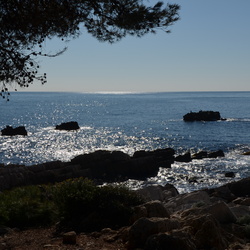 2013